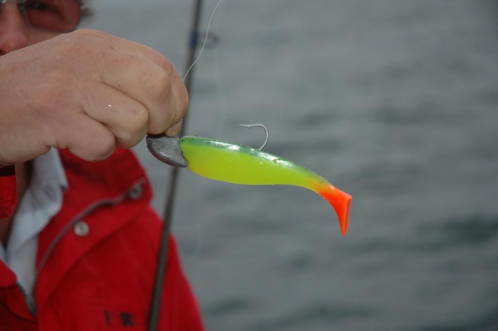 La médiatisation du nouveau leurre de Villepin