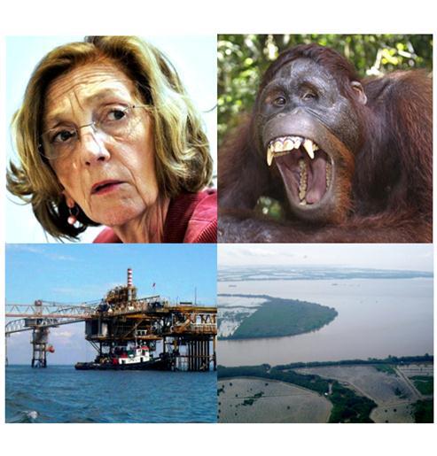 Nicole Bricq annonce qu'elle part en Indonésie pour promouvoir l'exploration offshore de Total à Bornéo