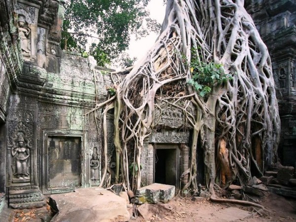 Angkor-Vat-asselineau-3