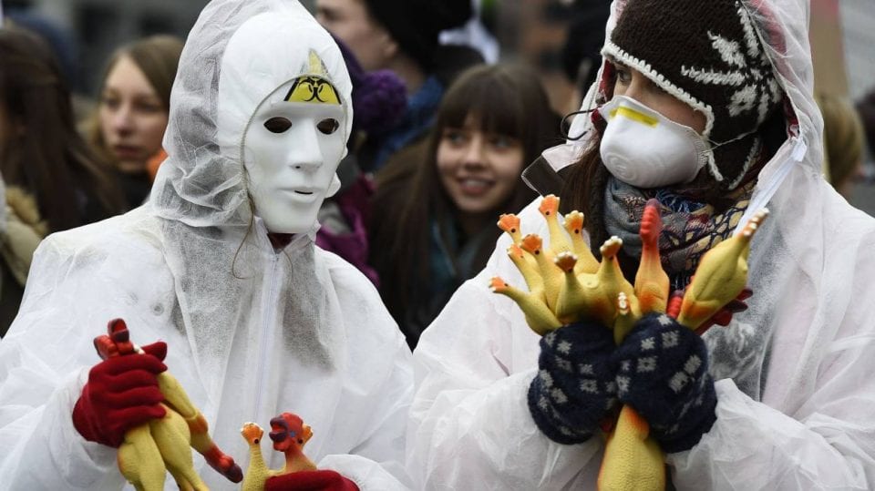 Bientôt en France grâce au traité TAFTA : privés de pauses, des employés du secteur volailler aux États-Unis portent des couches