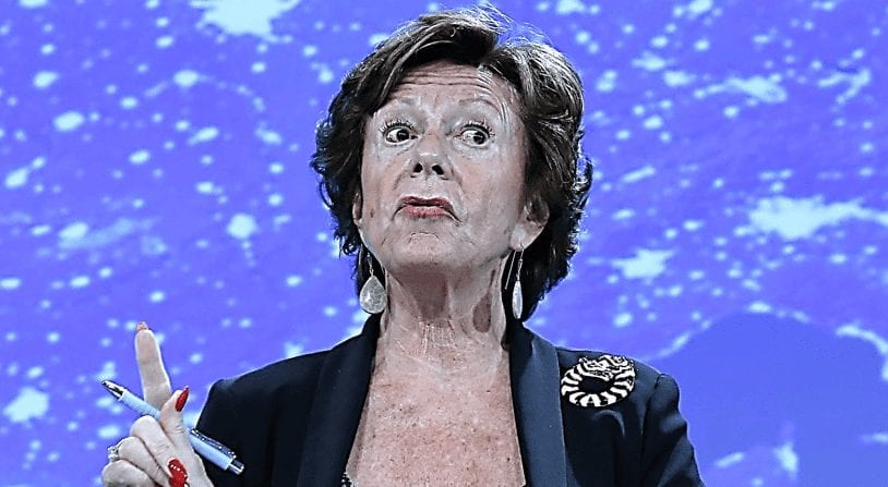 Nouvelles révélations sur les liens de l’ex-vice-présidente de la Commission européenne Neelie Kroes avec le crime organisé.