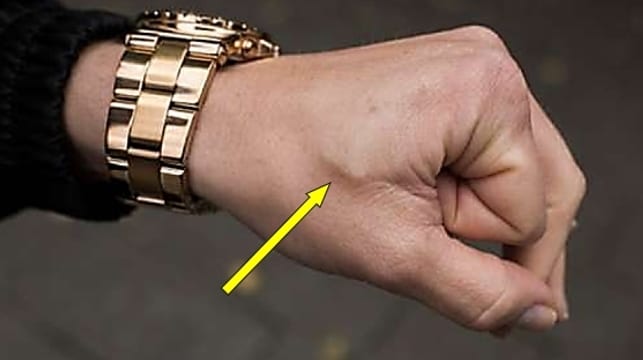 Notre revue de presse du 2 au 8 octobre 2017