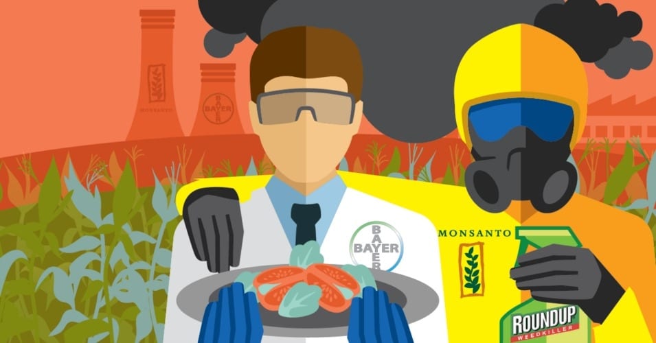 Bayer rachète Monsanto