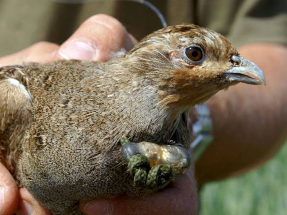 Notre revue de presse du 19 au 25 mars 2018