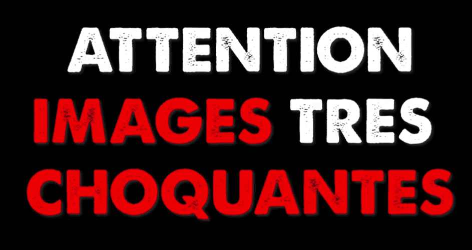 Les violences du régime Macron contre le peuple français