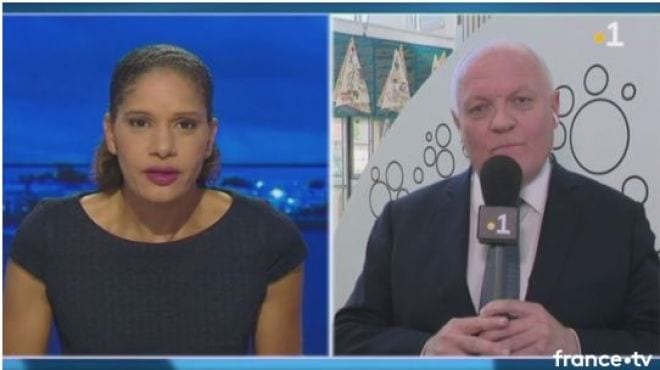 Guadeloupe 1e : Elections Européennes, les têtes de listes s'adressent aux ultramarins : François Asselineau