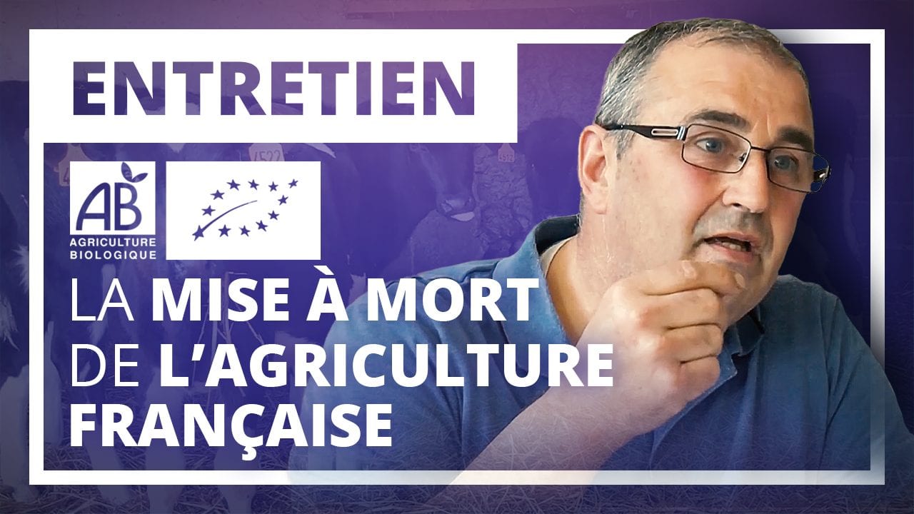 La mise à mort de l'agriculture française, avec Philippe Grégoire