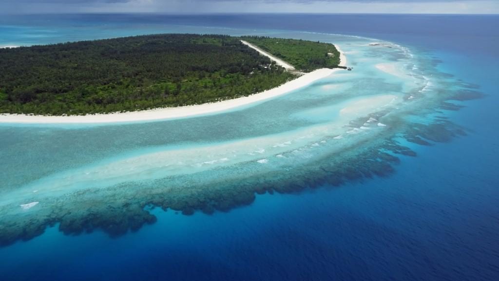 Notre revue de presse du 27 mai au 2 juin 2019