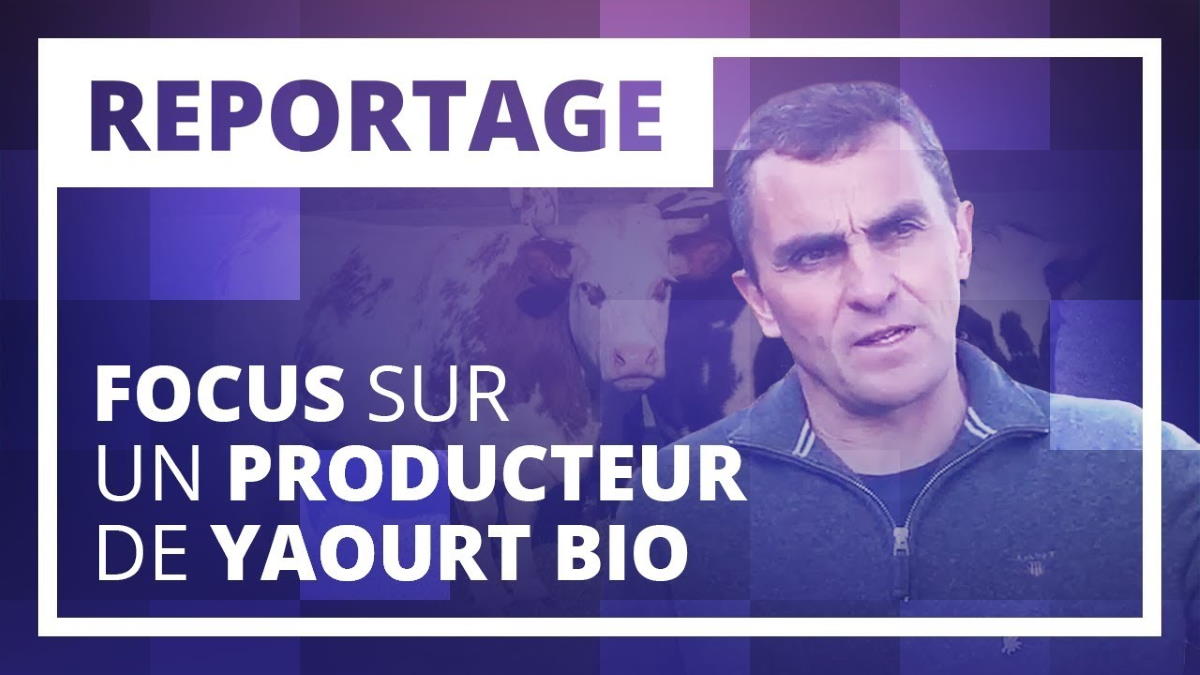 Focus sur un producteur de Yaourt bio