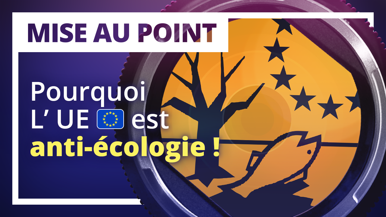 Mise au point : maltraitance animale, agriculture et pêche, les origines du problème