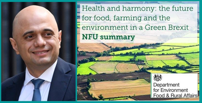 Brexit : la libération commence ! – 1/2