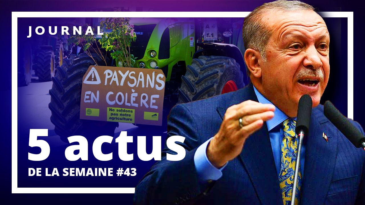 Les 5 actus de la semaine n°43