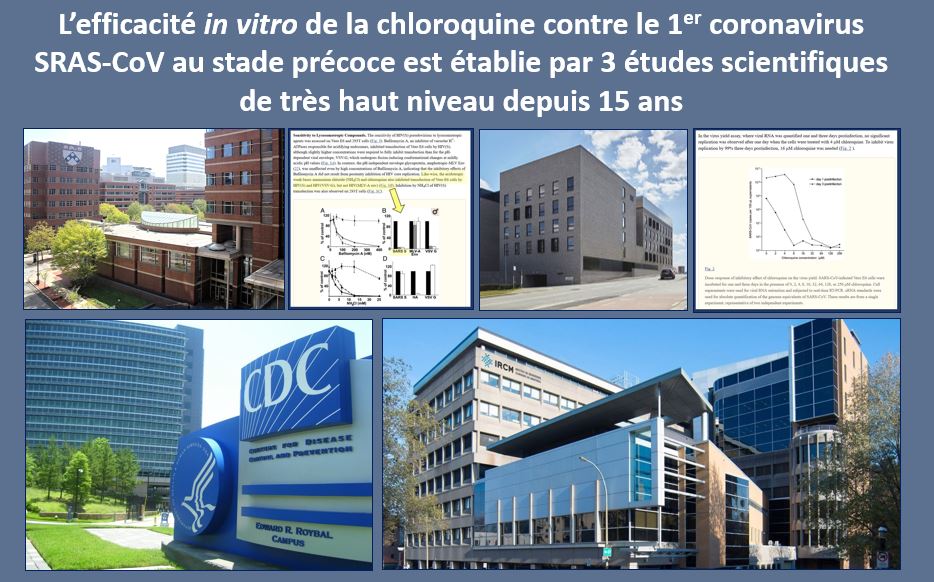 L'efficacité in vitro de la chloroquine contre le coronavirus SRAS-CoV au stade précoce établie depuis plus de 15 ans