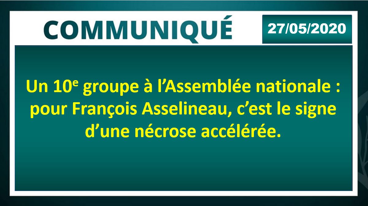 Un 10ème groupe à l’Assemblée nationale : une nécrose accélérée ?