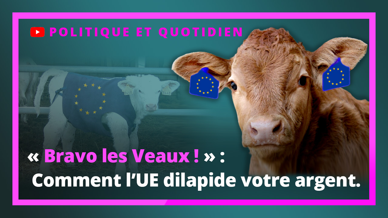 « Bravo les Veaux ! » : comment l’UE dilapide notre argent
