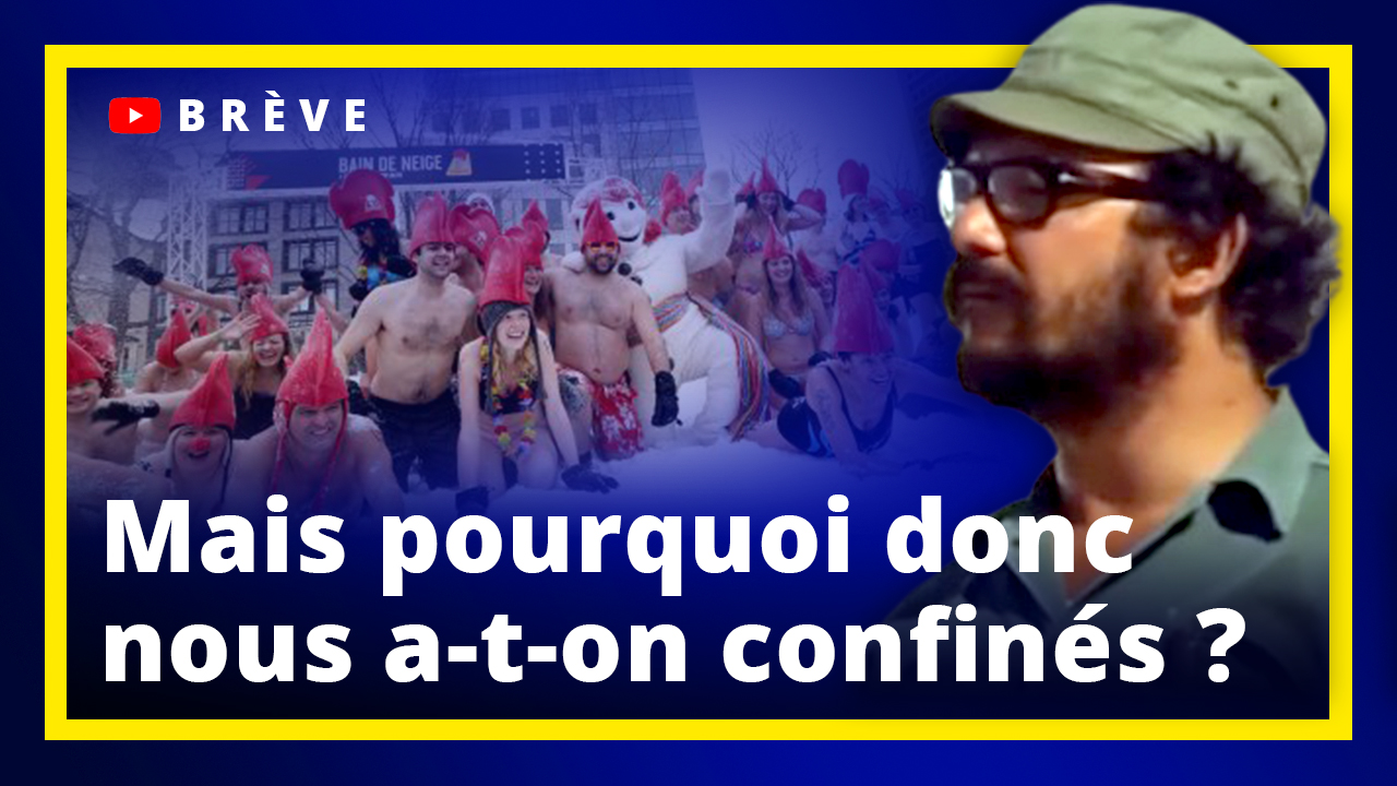 Mais pourquoi donc nous a-t-on confinés ?