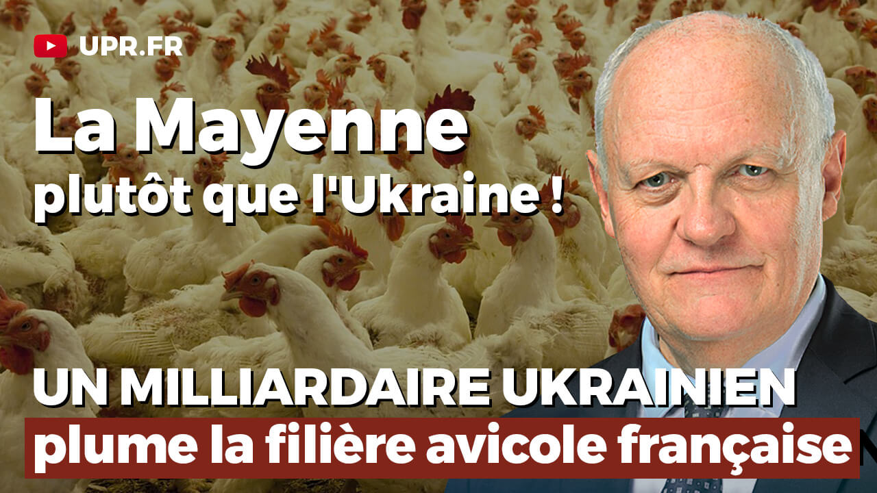 Comment un milliardaire ukrainien plume l'aviculture française