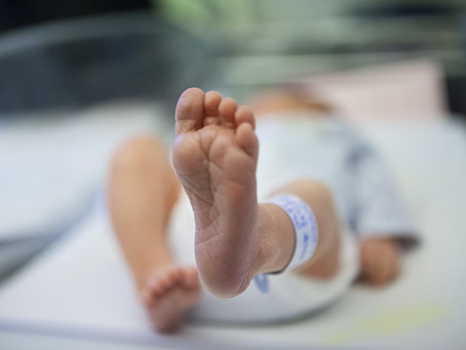 Le suicide démographique de la France