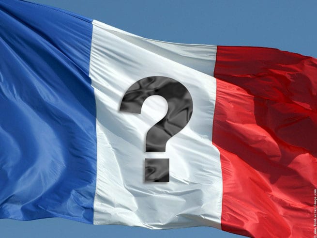 Allons-nous laisser détruire la France ?