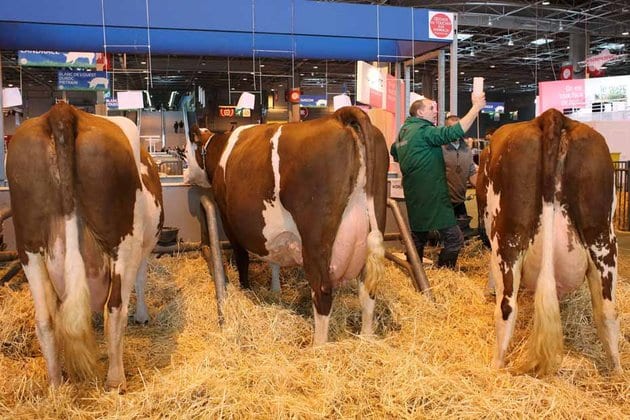 François Asselineau au Salon international de l'agriculture 2011
